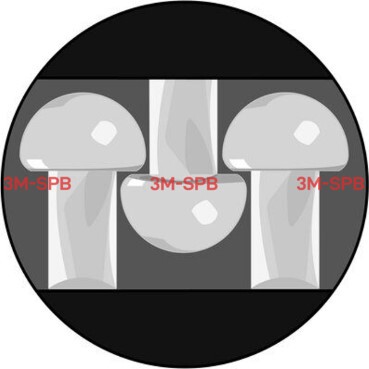3M™ Dual Lock™ SJ3550 Family
